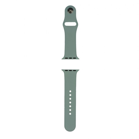 Apple Watch 38/40 mm Azure