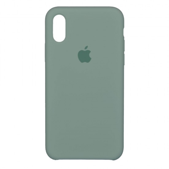 IPhone X/Xs Silicone Case Turquoise IPhone X/Xs Silicone Case Turquoise