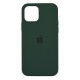 iPhone 12/12Pro Silicone Case Pine Green